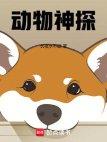 Animal Detective